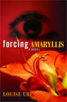 Forcind Amaryllis